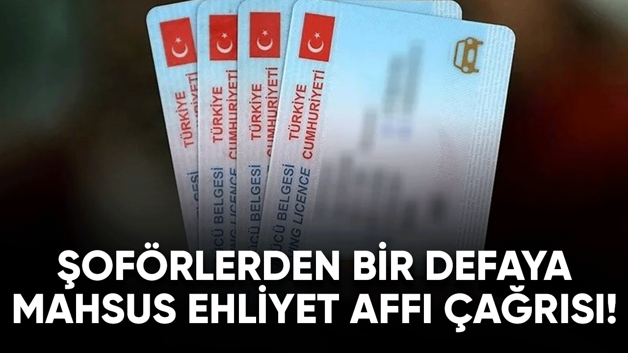 Şoförlerden bir defaya mahsus ehliyet affı çağrısı!