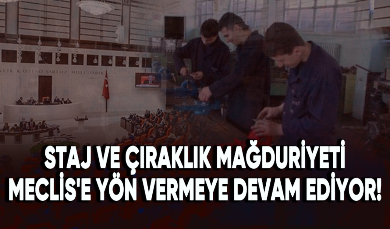 Staj ve çıraklık Meclis'e yön vermeye devam ediyor!