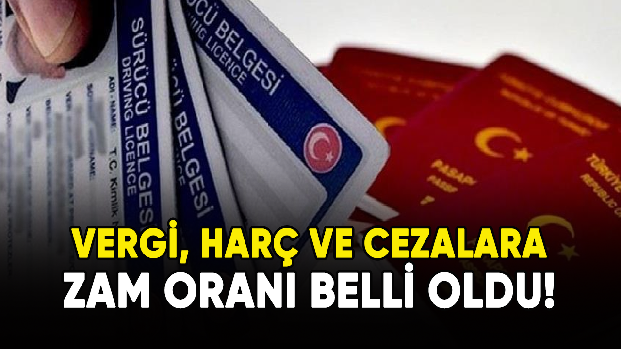 Vergi, harç ve cezalara zam oranı belli oldu