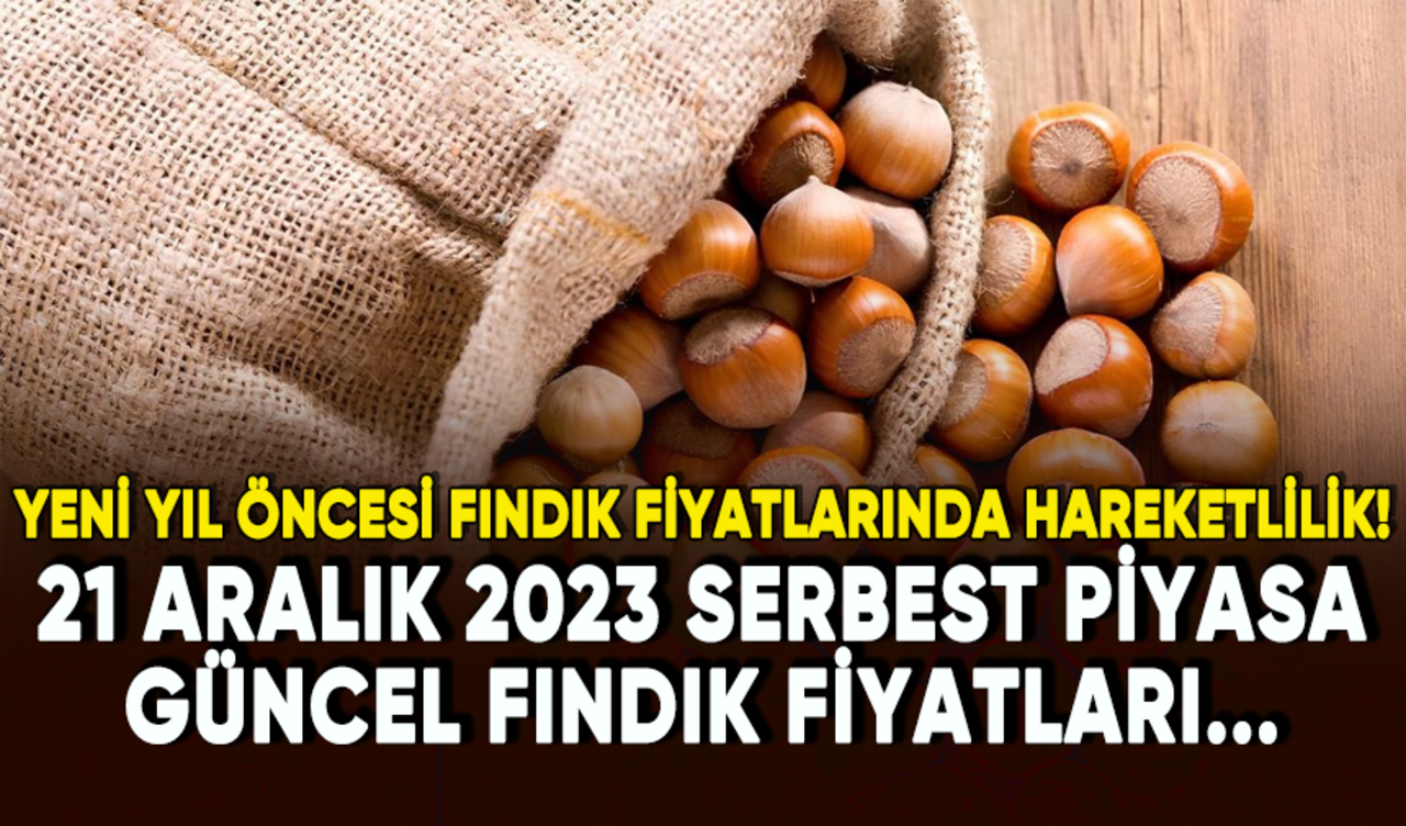 Yeni yıl öncesi fındık fiyatlarında hareketlilik! 21 Aralık 2023 serbest piyasa güncel fındık fiyatları...