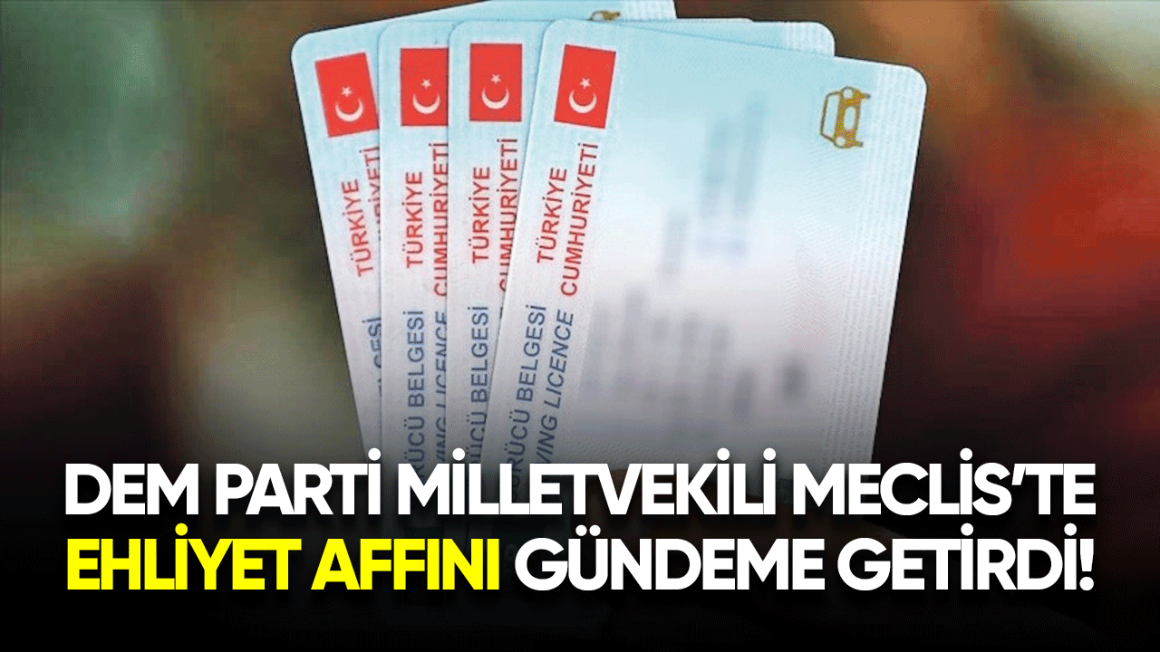 Dem Parti Milletvekili Meclis'te ehliyet affını gündeme getirdi