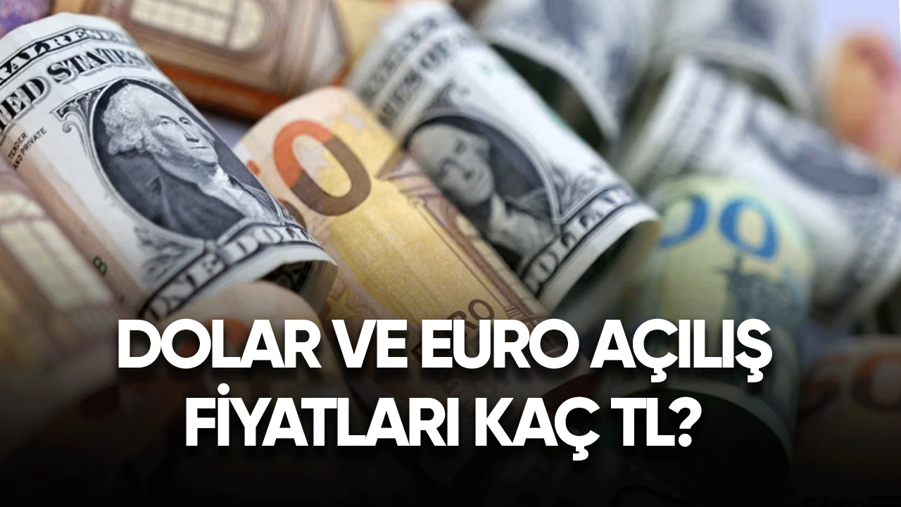 Dolar ve Euro açılış fiyatları kaç TL?