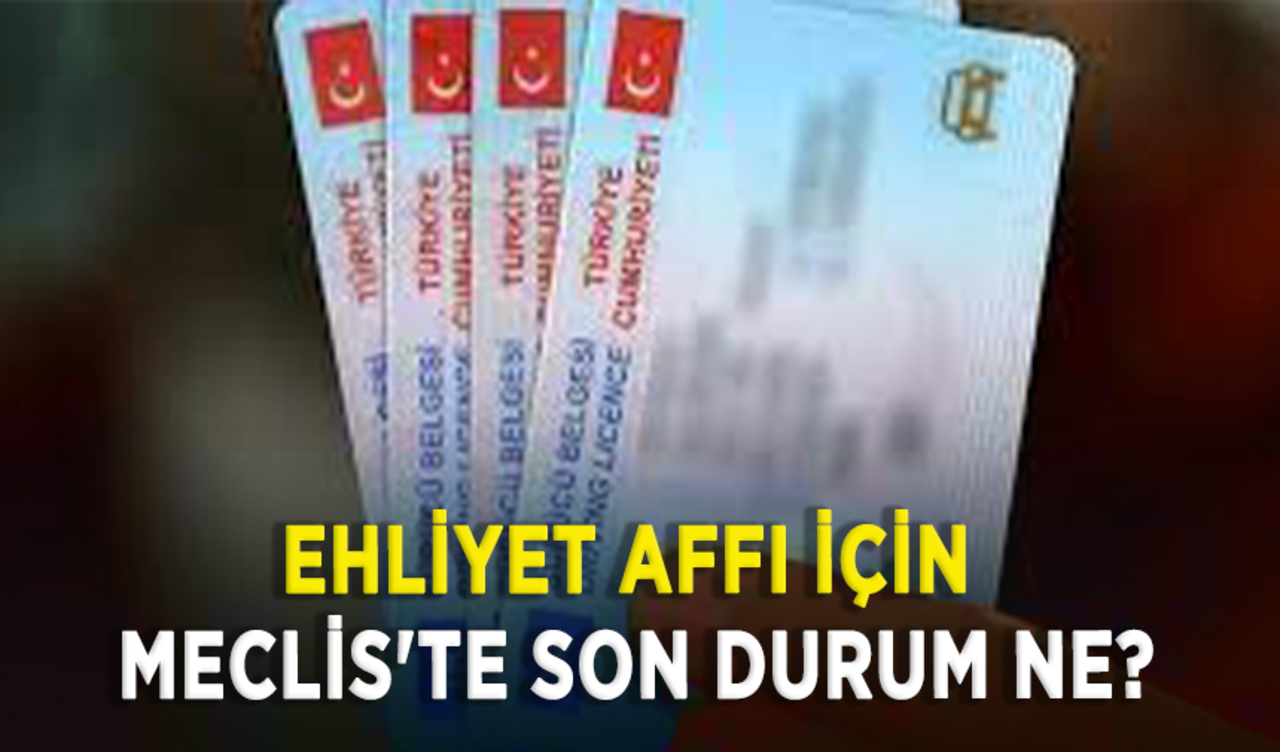 Ehliyet affı için Meclis'te son durum ne?