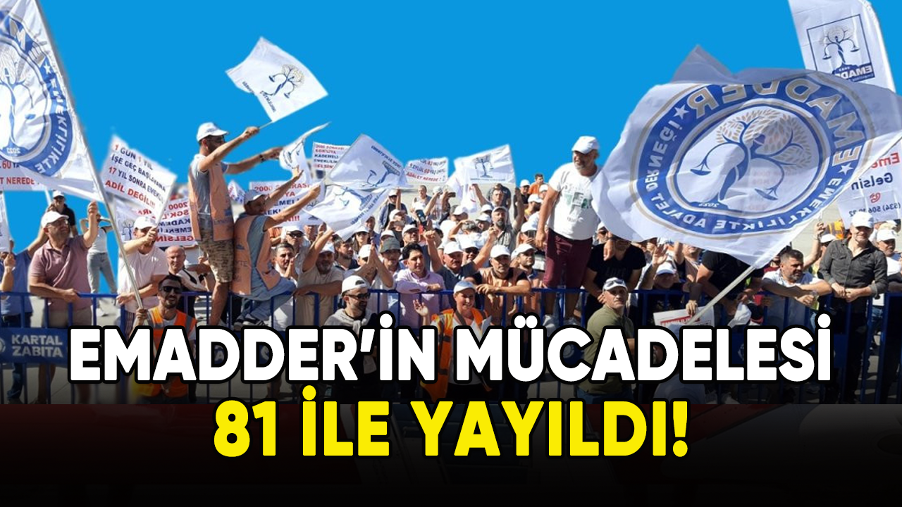 EMADDER'in mücadelesi 81 ile yayıldı!