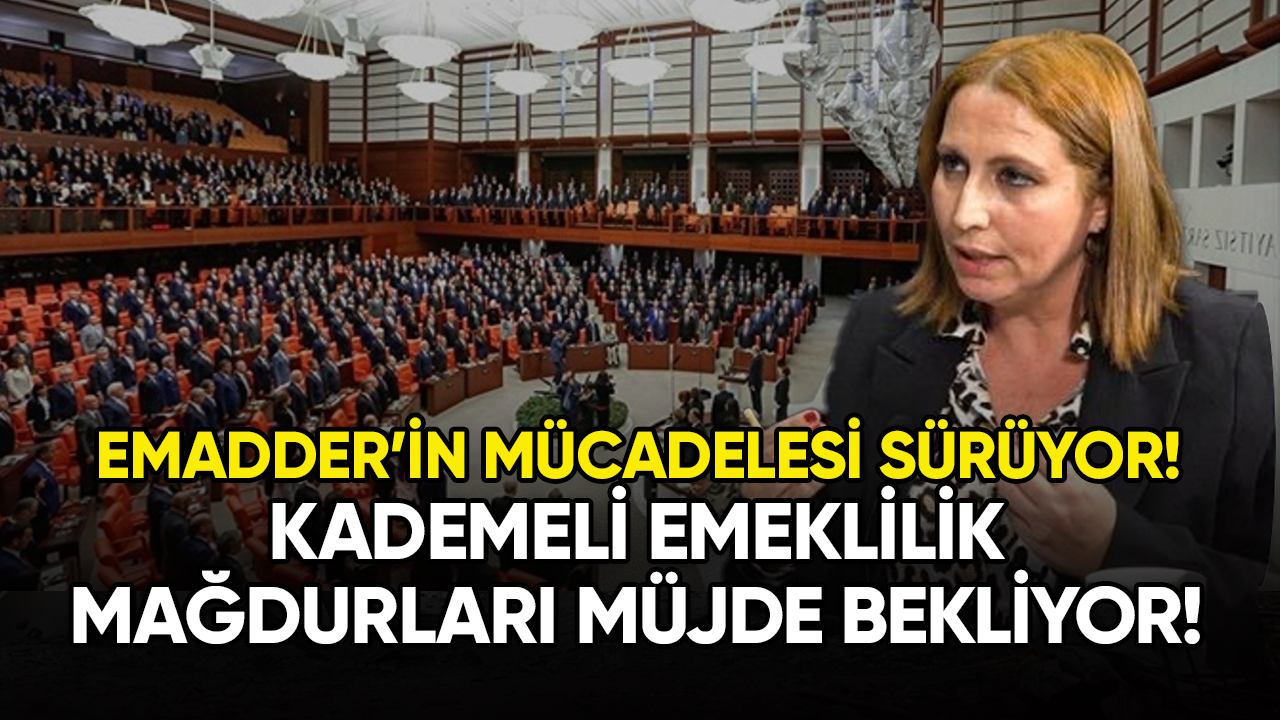 EMADDER'İN mücadelesi sürüyor: Kademeli emeklilik mağdurları müjde bekliyor!