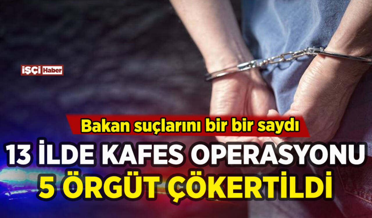 13 ilde Kafes operasyonu: Suçları ortaya çıktı