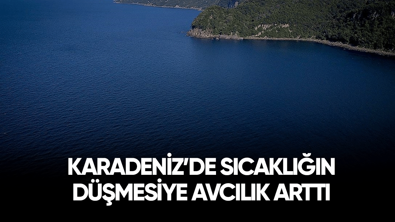 Karadeniz'de sıcaklığın düşmesiye avcılık artı