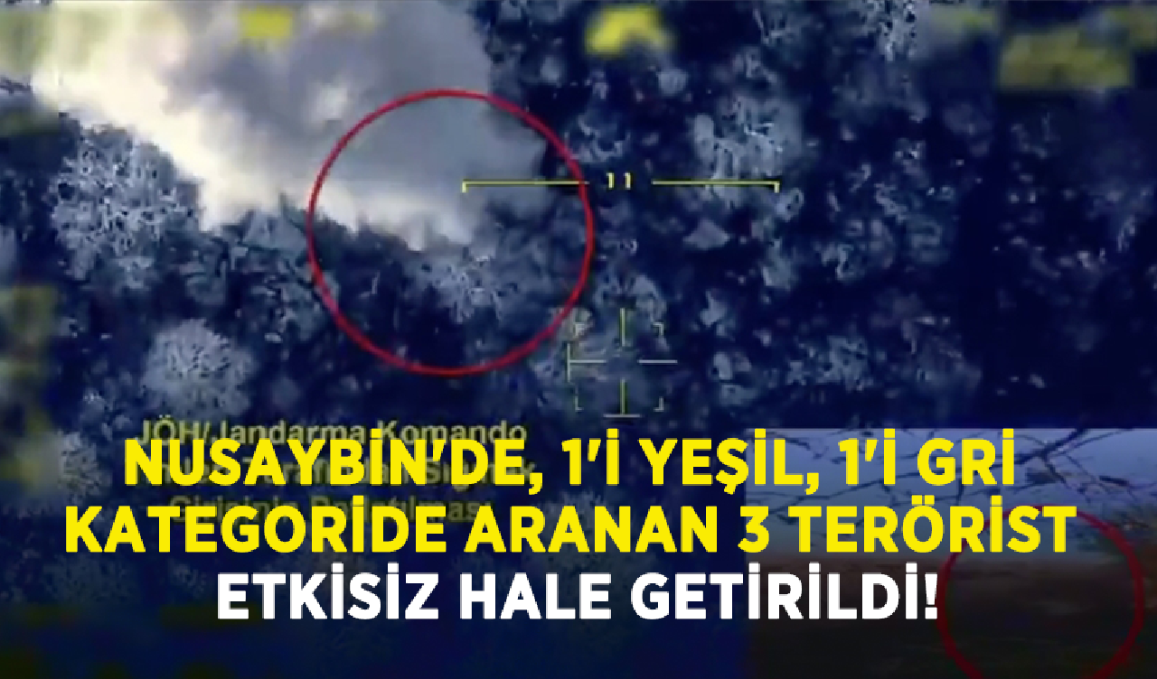 Nusaybin'de, 1'i yeşil, 1'i gri kategoride aranan 3 terörist etkisiz hale getirildi!