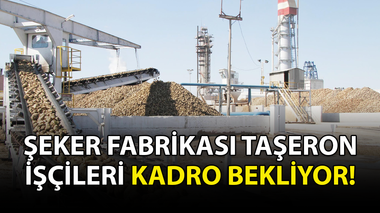 Şeker fabrikası taşeron işçileri kadro bekliyor!