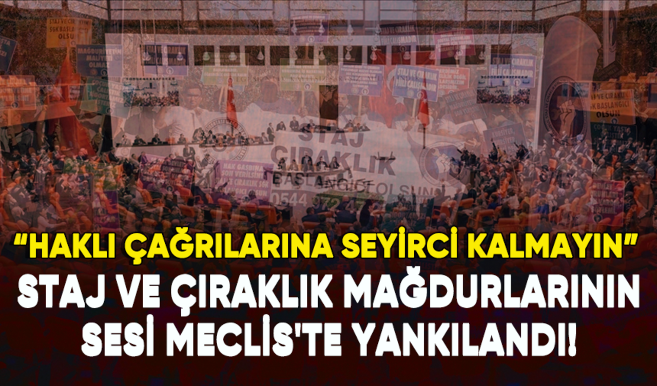 Staj ve çıraklık mağdurlarının sesi Meclis'te yankılandı!