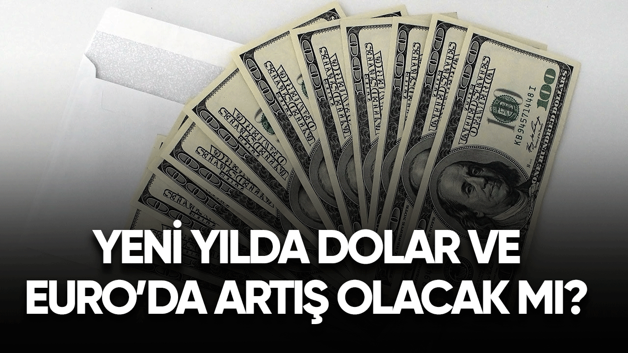 Yeni yıla Dolar ve Euro yükselişle mi girecek?