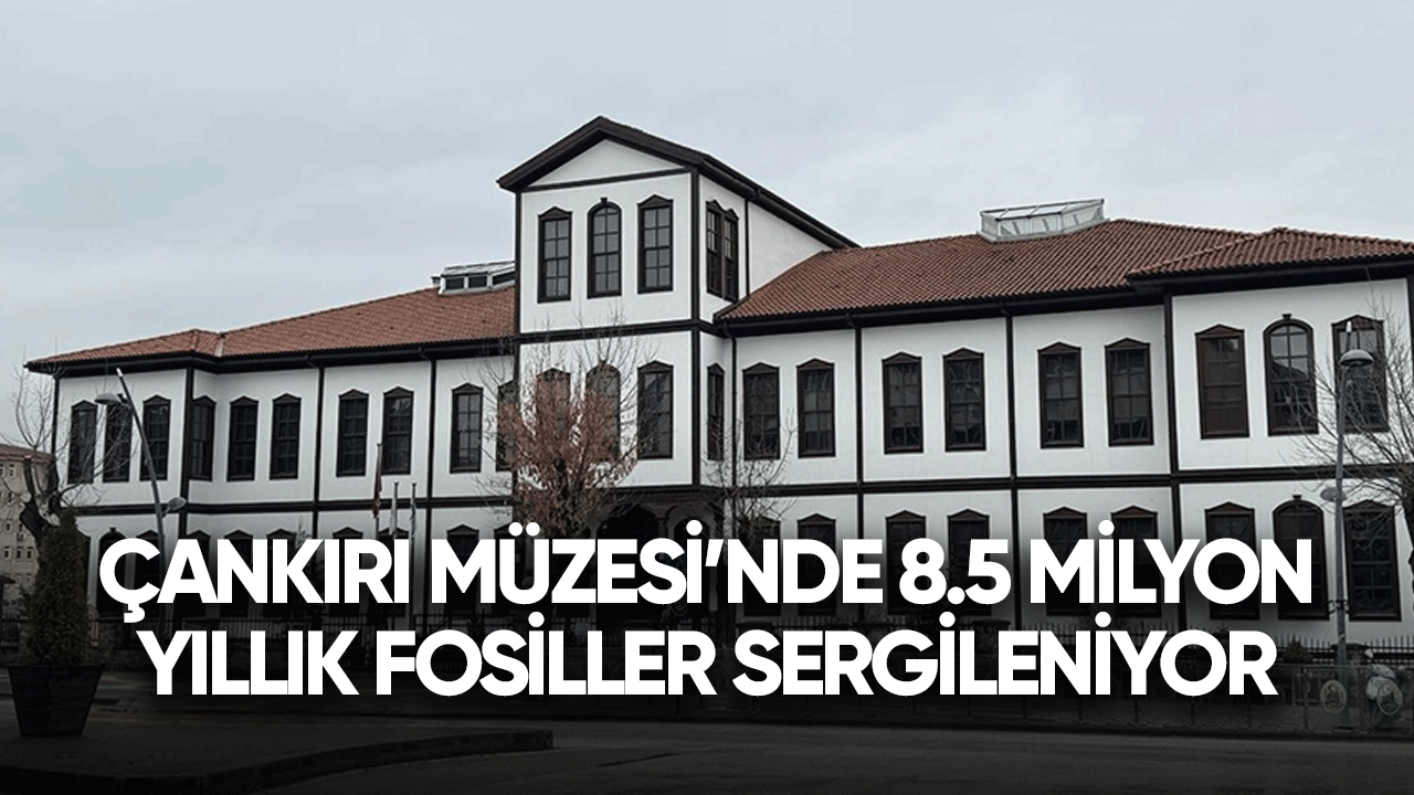 Çankırı Müzesi'nde 8,5 milyon yıllık fosiller sergileniyor