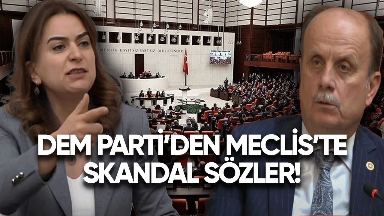 Dem Parti'den Meclis'te skandal sözler!