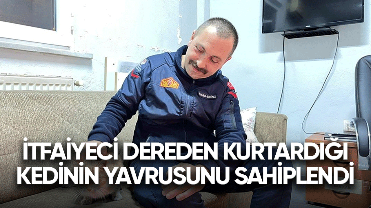 İtfaiyeci dereden kurtardığı kedinin yavrusunu sahiplendi