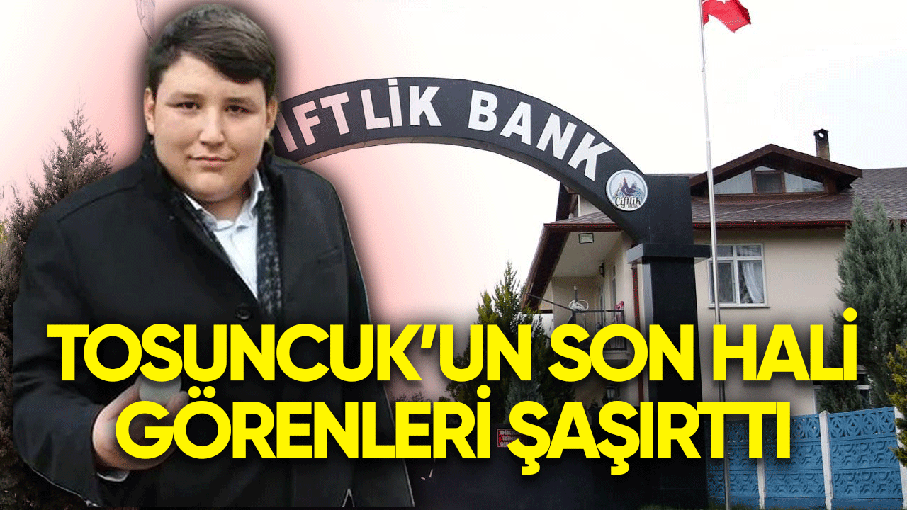 Tosuncuk'un son hali görenleri şaşırttı