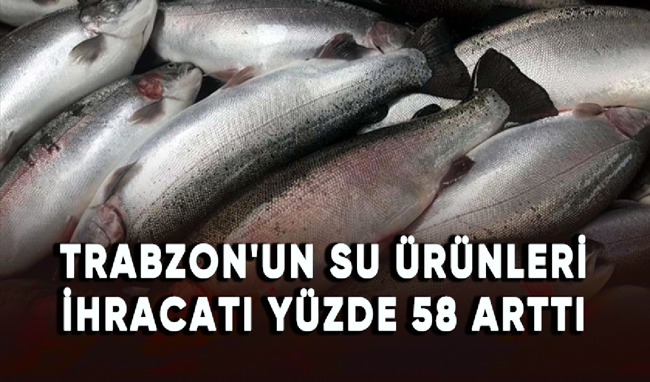 Trabzon'un su ürünleri ihracatı yüzde 58 arttı