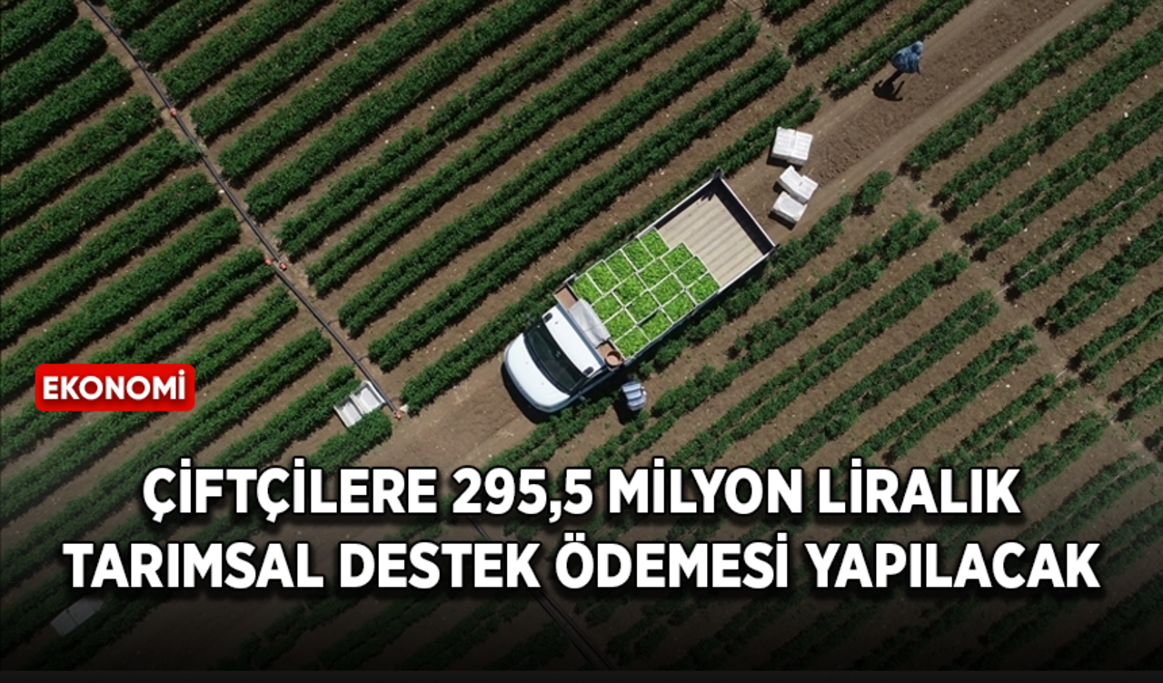 Çiftçilere 295,5 milyon liralık tarımsal destek ödemesi yapılacak