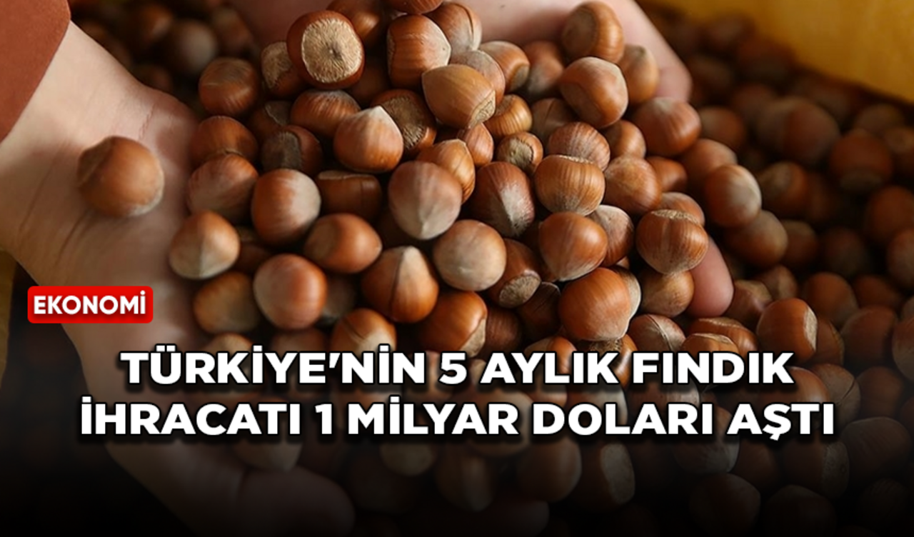 Türkiye'nin 5 aylık fındık ihracatı 1 milyar doları aştı