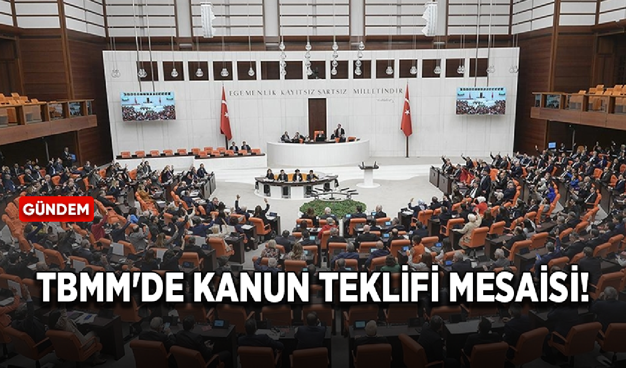 TBMM'de kanun teklifi mesaisi