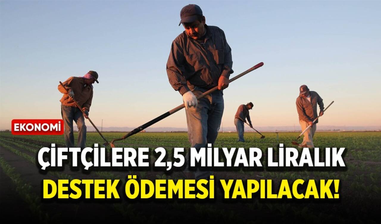 Çiftçilere 2,5 milyar liralık destek ödemesi yapılacak!