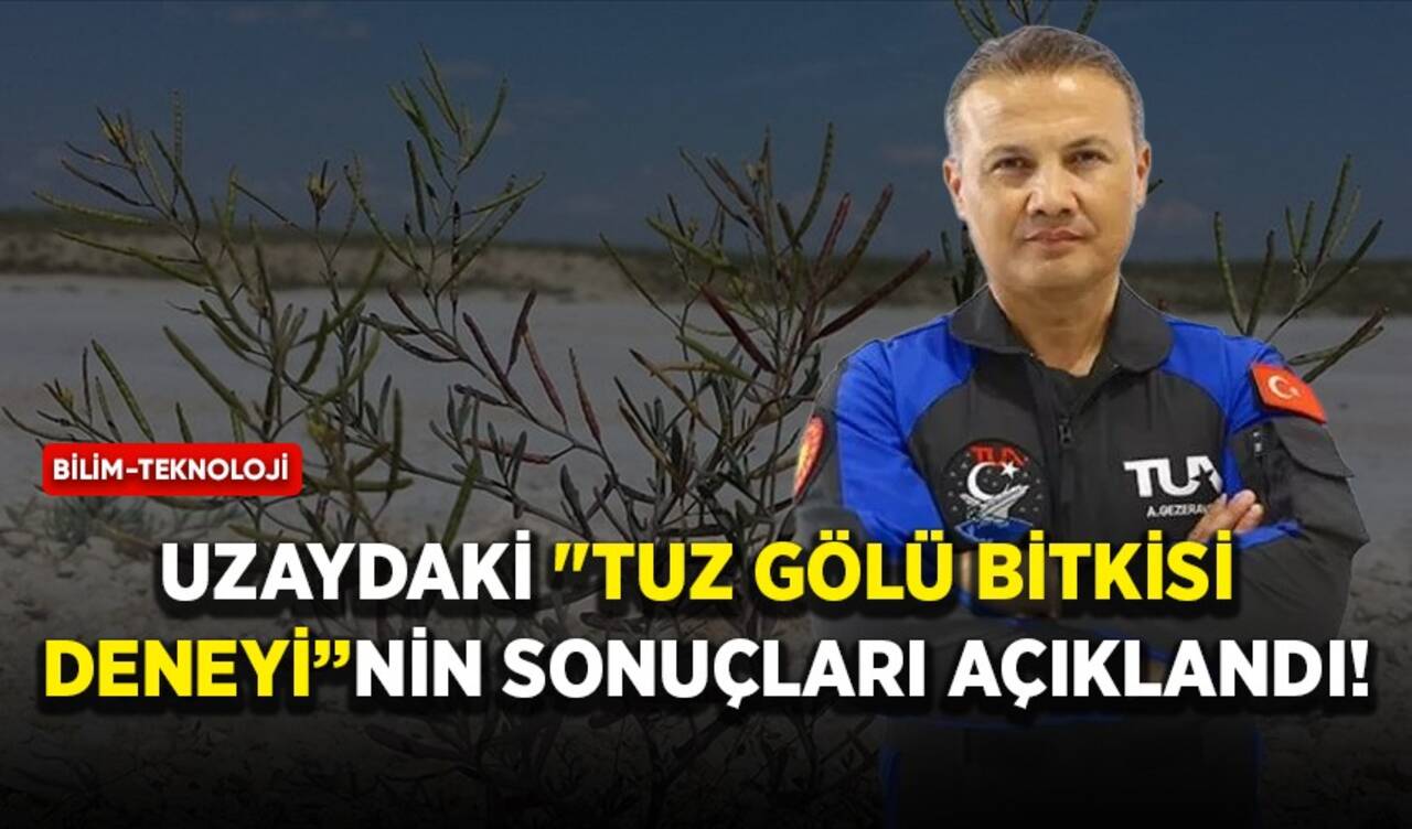 Uzaydaki "Tuz Gölü bitkisi deneyi"nin sonuçları açıklandı