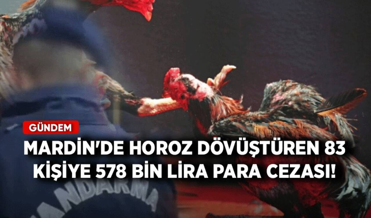 Mardin'de horoz dövüştüren 83 kişiye 578 bin lira para cezası!