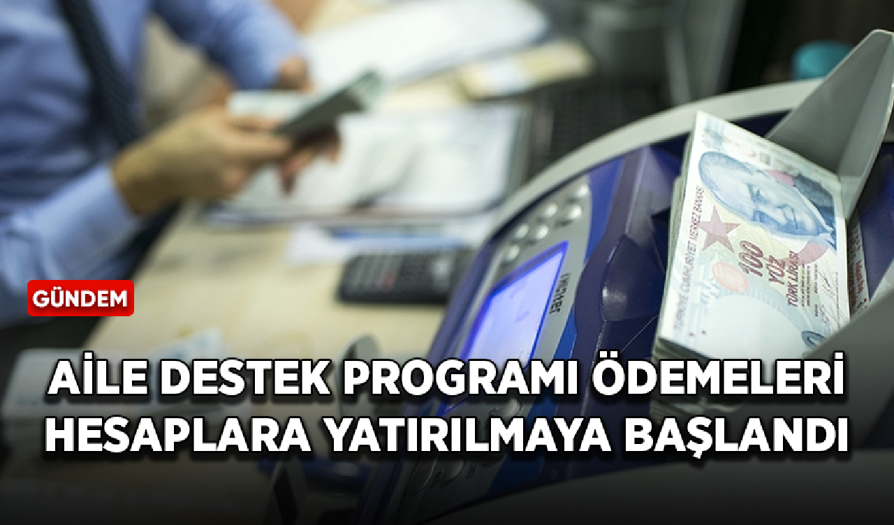 Türkiye Aile Destek Programı ödemeleri hesaplara yatırılmaya başlandı