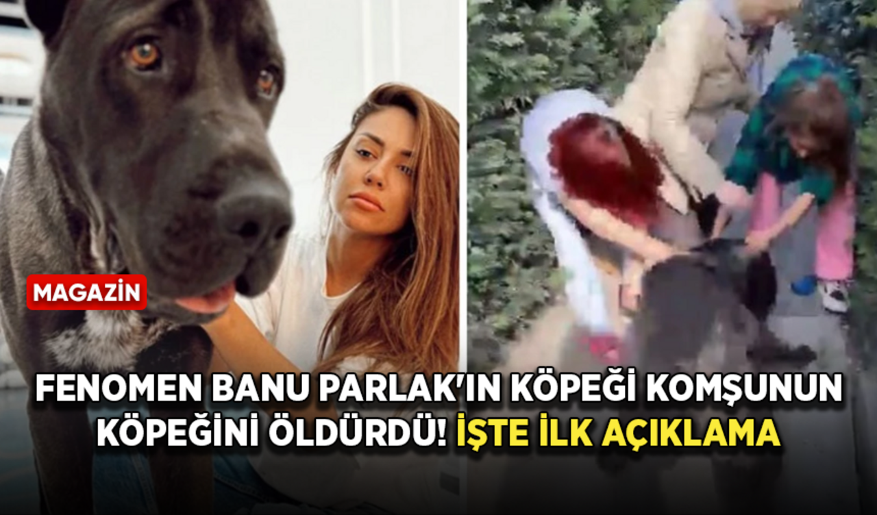 Fenomen Banu Parlak'ın köpeği komşunun köpeğini öldürdü! İşte ilk açıklama