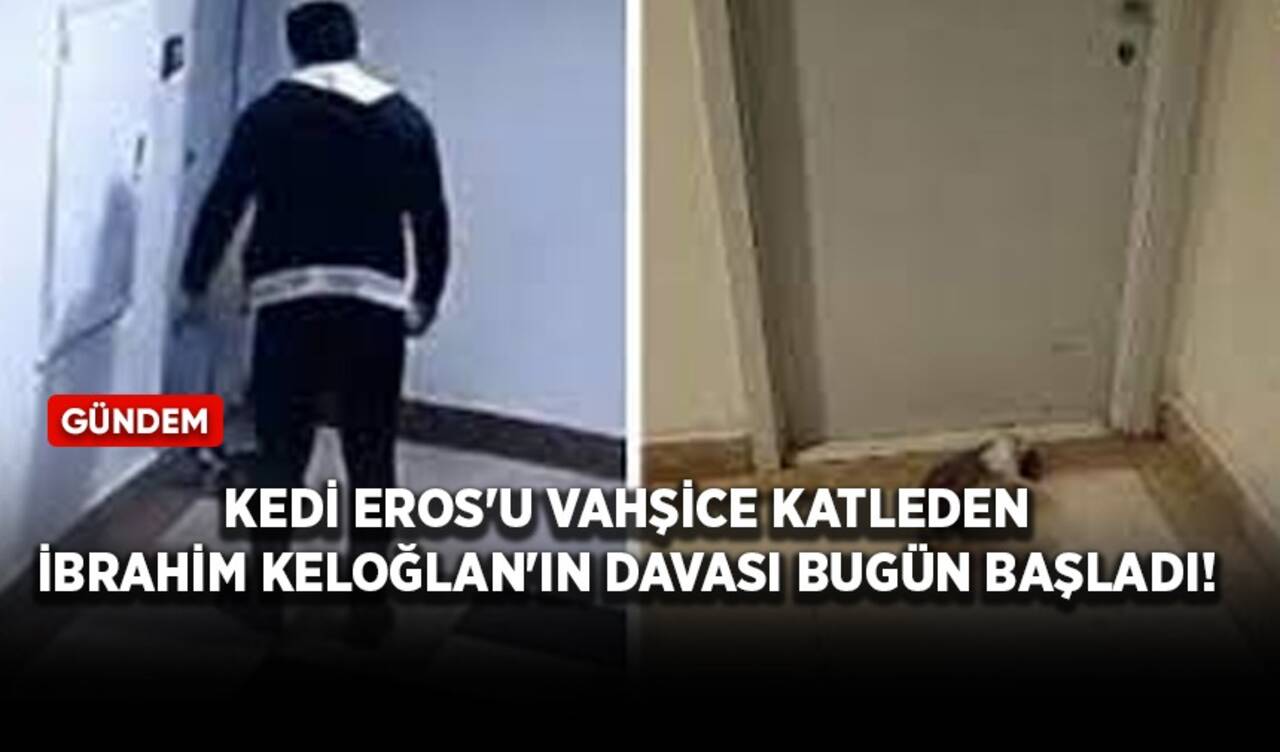 Kedi Eros'u vahşice katleden İbrahim Keloğlan'ın davası bugün başladı!