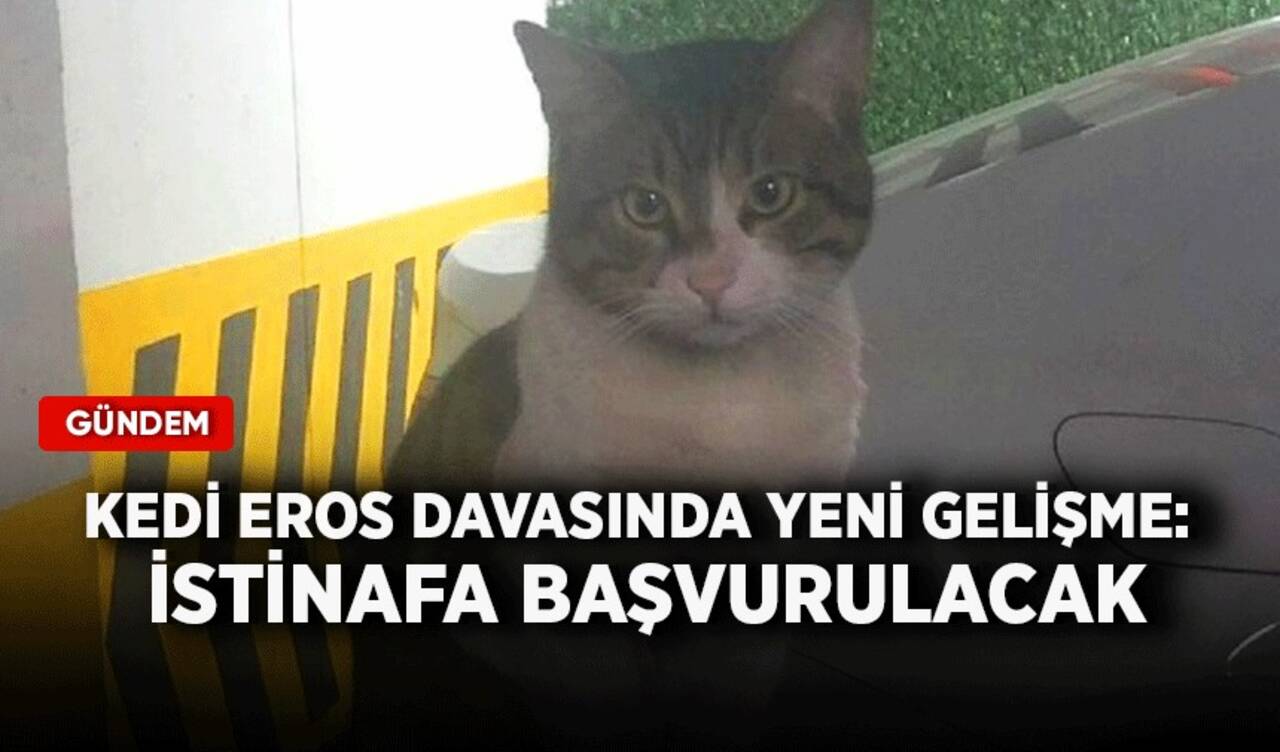 Kedi Eros davasında yeni gelişme: İstinafa başvurulacak