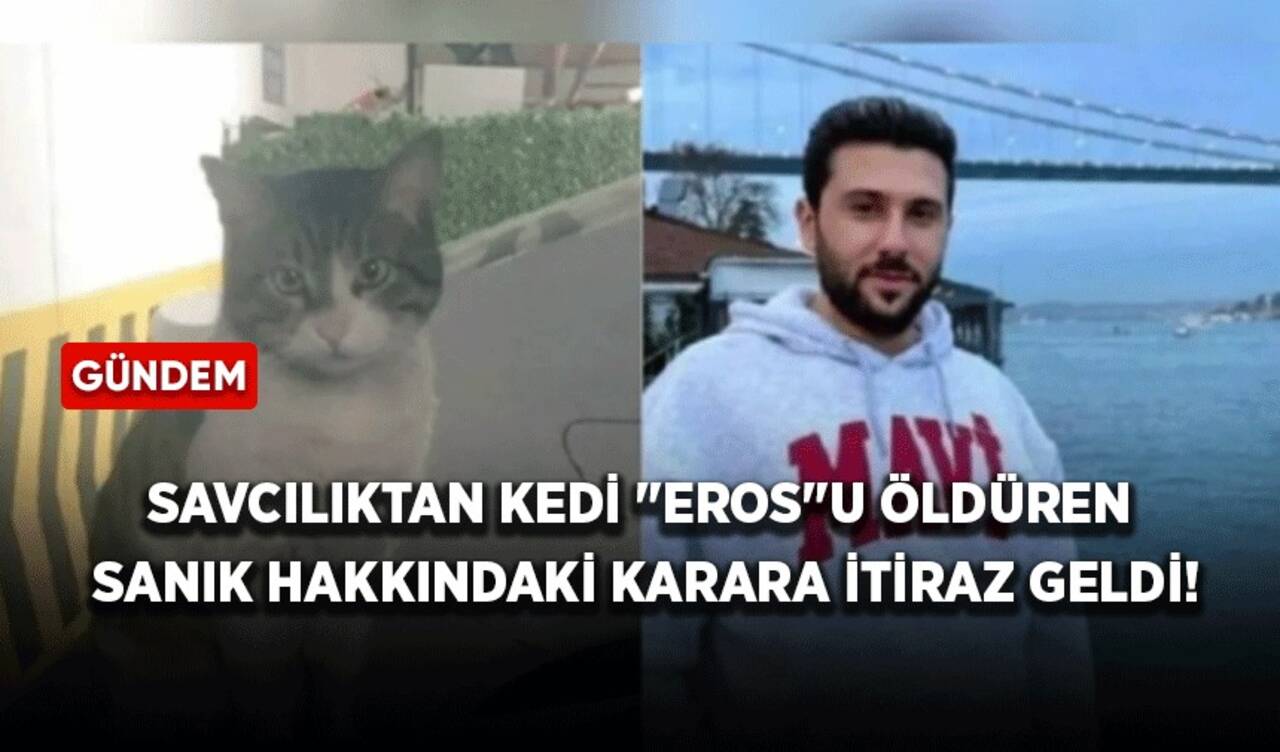 Savcılıktan kedi "Eros"u öldüren sanık hakkındaki karara itiraz geldi!