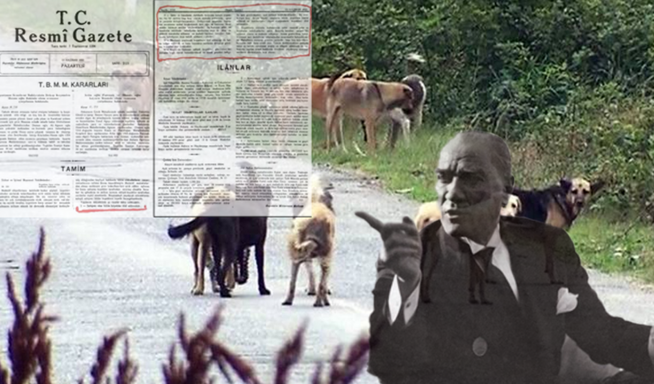 Atatürk'ün 1932 yılında yayınladığı 'sokak köpeği' genelgesi