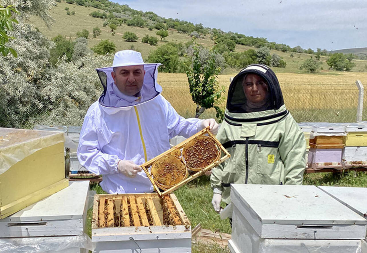 Kadın girişimciden başarı hikayesi! Arı sütü üretiminde artış sağladı