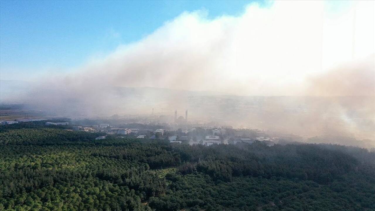 Bursa'da kampüsteki ormanlık alana sıçrayan yangın kısmen kontrol altına alındı