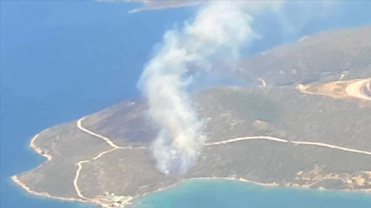 İzmir Urla’da ormanlık alanda yangın!