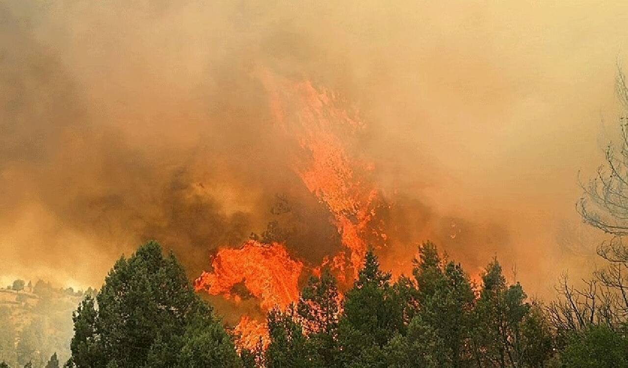 Kütahya'da orman yangını! Havadan ve karadan müdahale başladı