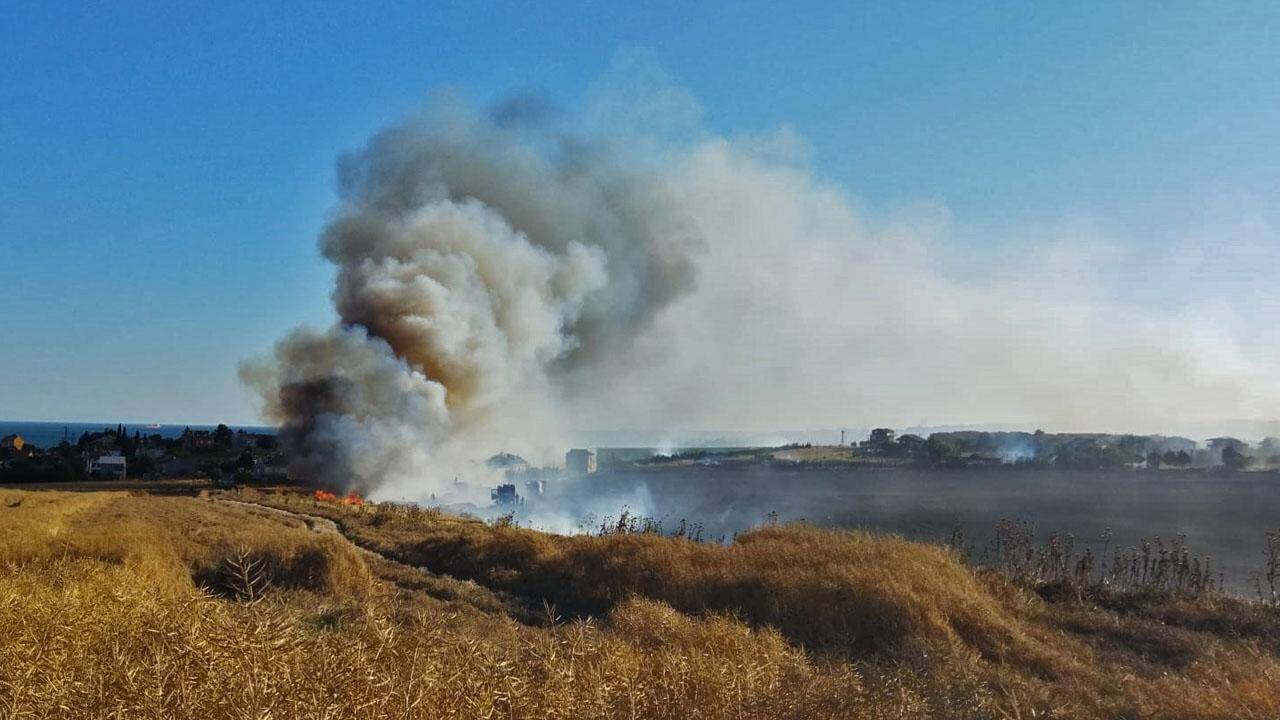 Tekirdağ'da tarla yangını: Buğday ekili 300 dönüm alan zarar gördü