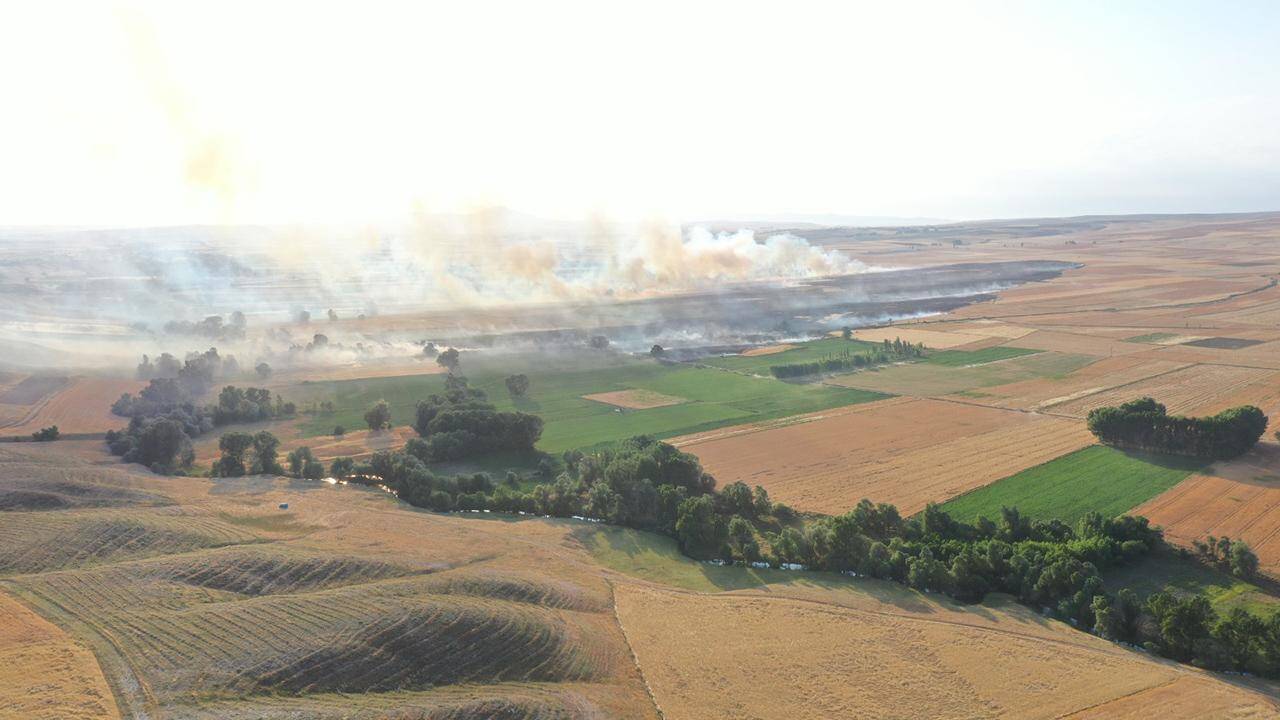 Yozgat'ta çıkan yangında 1000 dekar buğday tarlası yandı