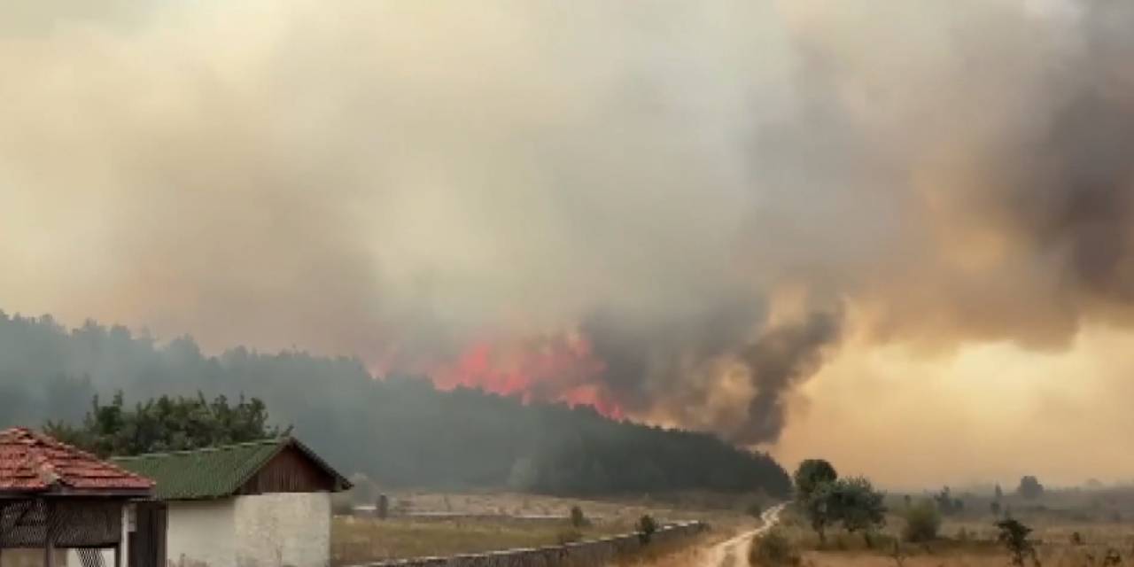 Ankara'da korkutan orman yangını!