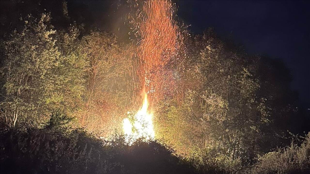 Tokat'ta çıkan orman yangınında 2 hektarlık alan zarar gördü