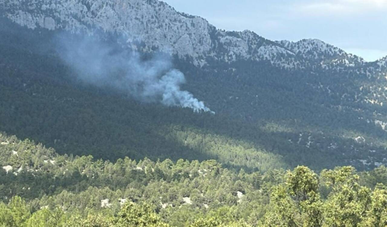 Antalya'nın Akseki ilçesinde orman yangını: Müdahaleler sürüyor