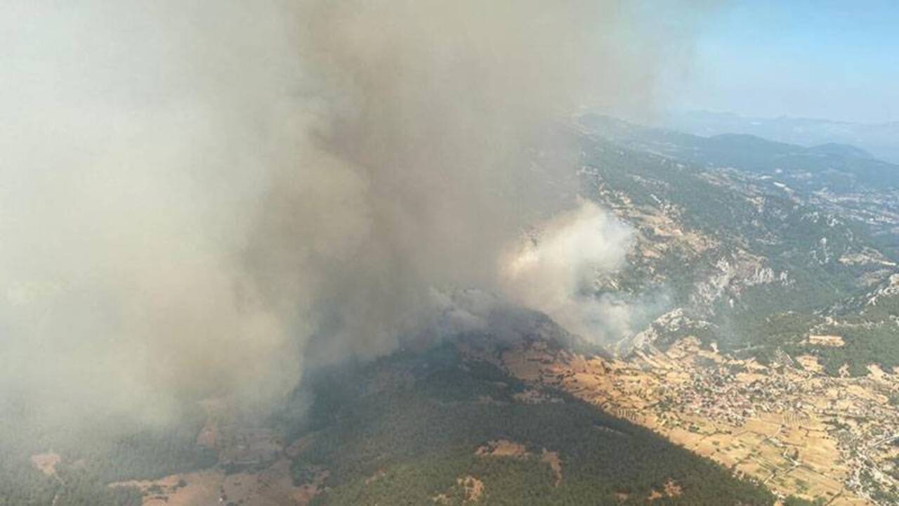 Muğla'da orman yangını: Havadan ve karadan müdahale ediliyor