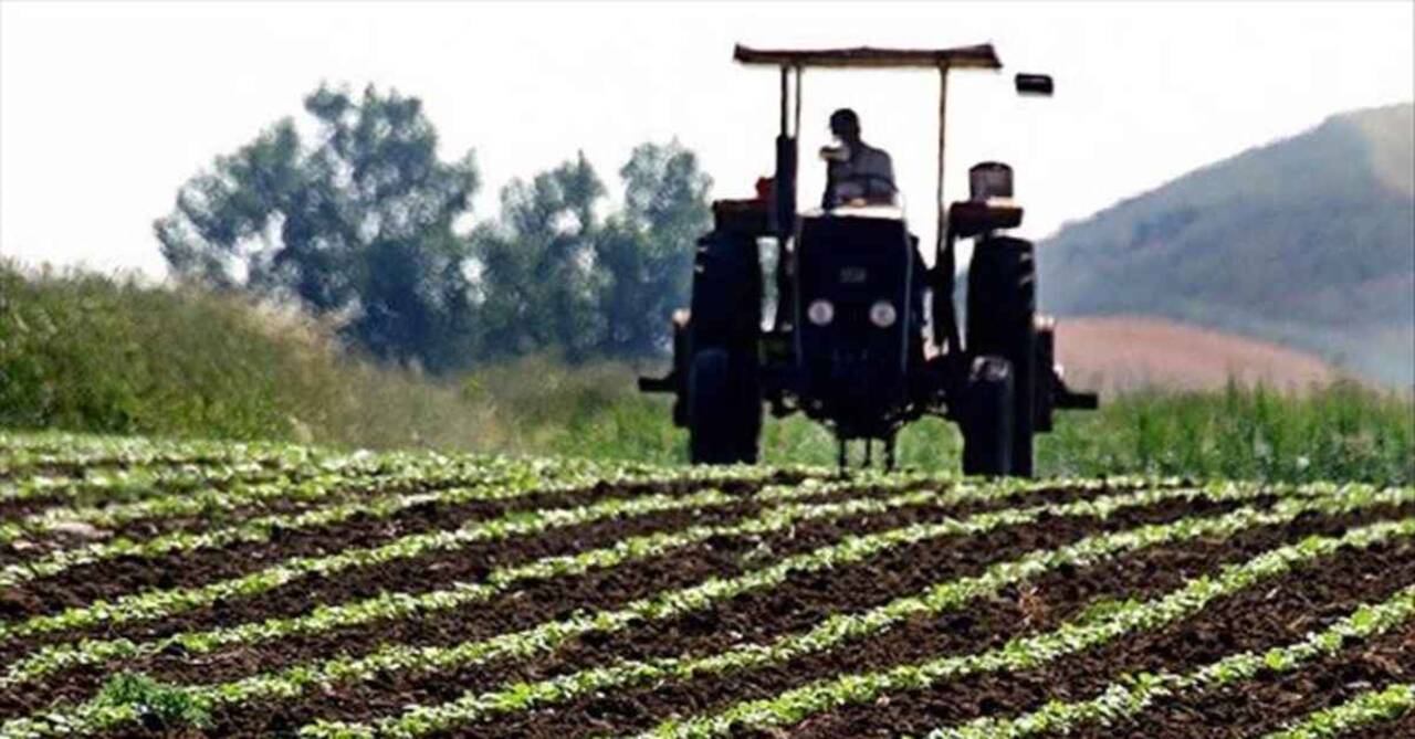 Tarım ve Orman Bakanlığı’ndan çiftçilere müjde