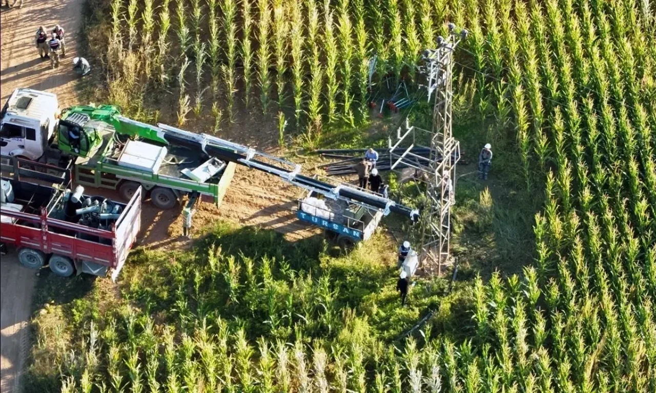 Şanlıurfa'da kaçak elektrik operasyonu: 15 kayıt dışı trafo tespit edildi