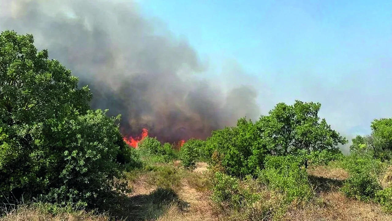 Çanakkale'nin Biga ilçesinde orman yangını