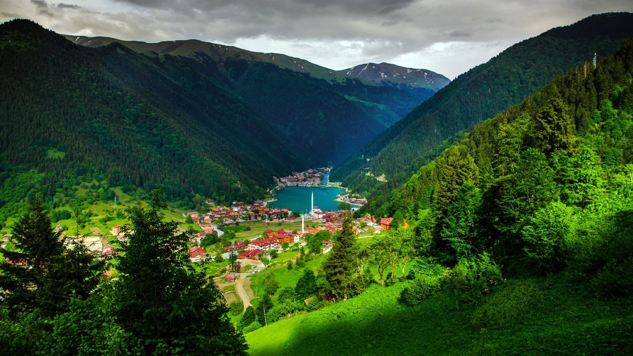 Uzungöl'de kaçak yapılar yıkılıyor