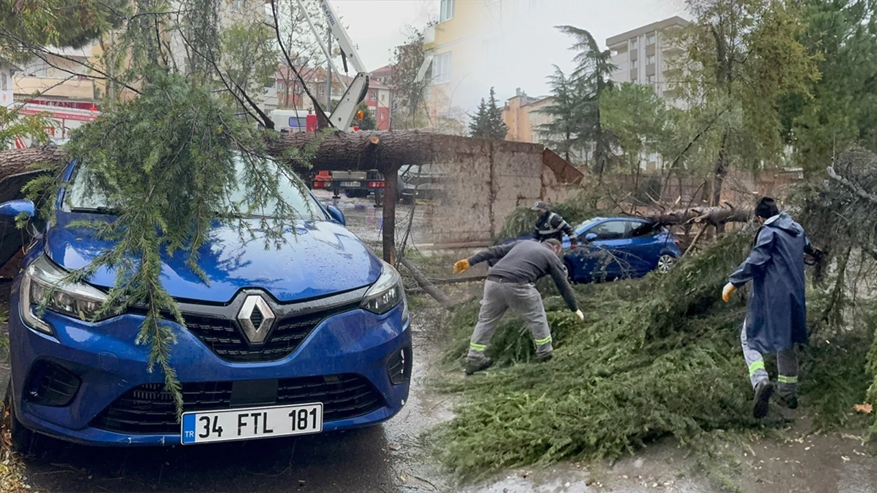 Kartal'da korkutan olay: Otomobil üzerine ağaç devrildi