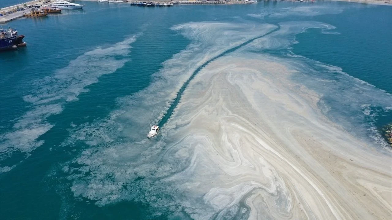 Marmara Denizi'ndeki müsilaj sorunu için Bilim ve Teknik Kurulu toplanıyor