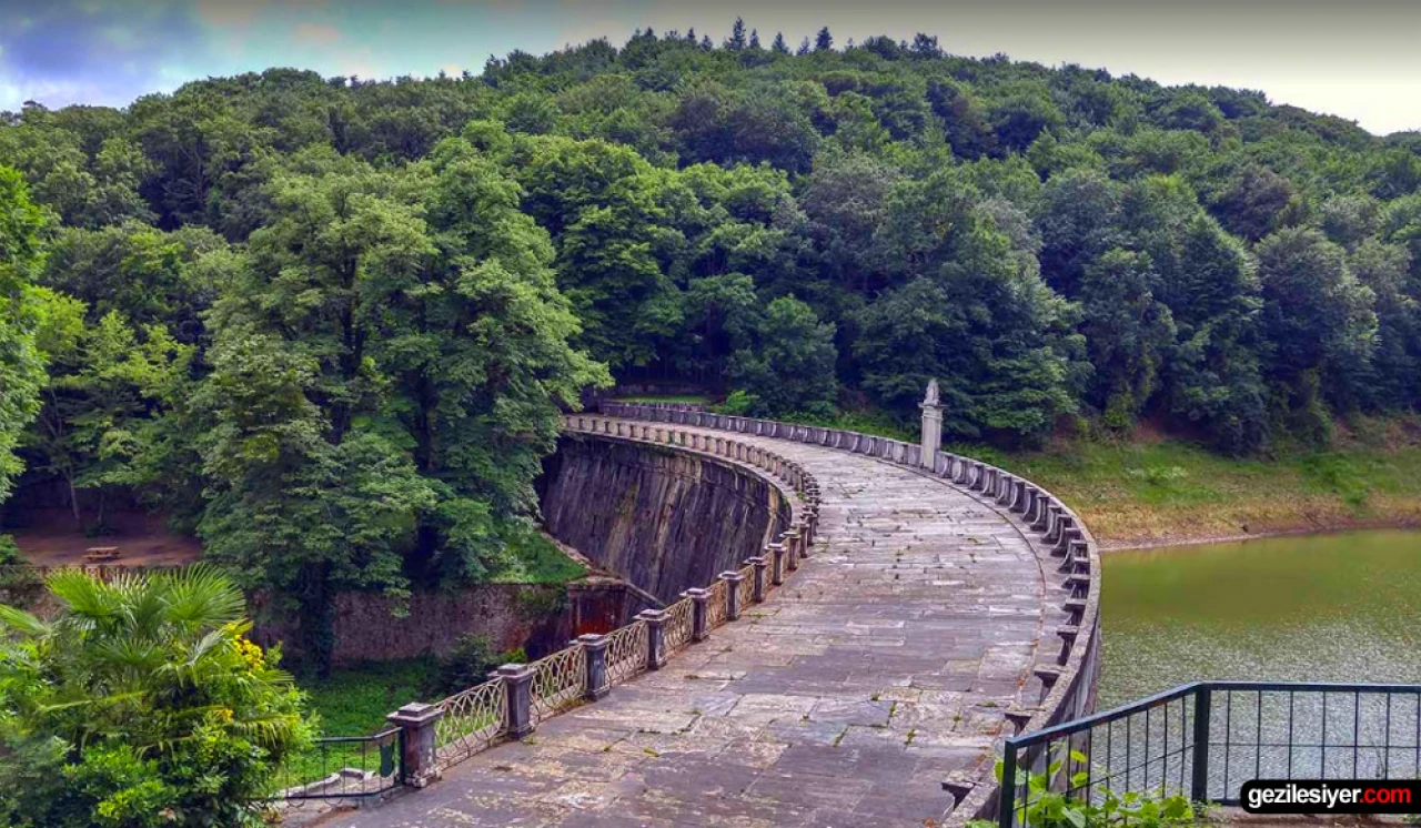 Cumhurbaşkanlığı'ndan Belgrad Ormanı ile ilgili imar iddialarına yanıt