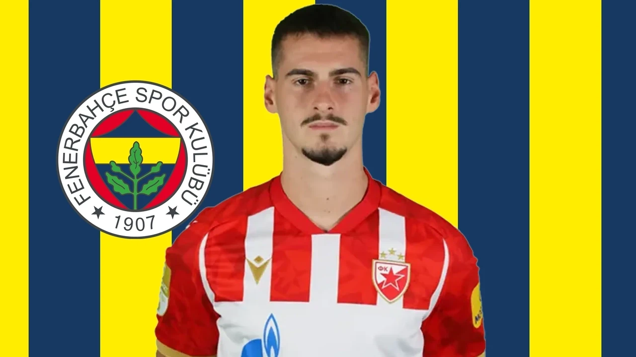 Fenerbahçe'nin yeni transferi Ognjen Mimovic kimdir, nereli, kaç yaşında?